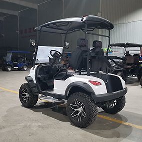 2 Seater Golf Cart