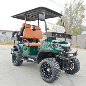 2+2 Seater Golf Cart