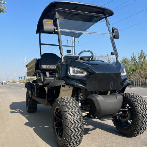 2 Seater Utility Golf Cart with Cargo Box