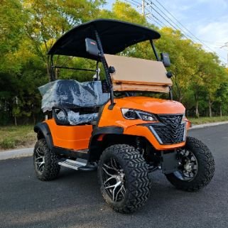 2 Seater Golf Cart