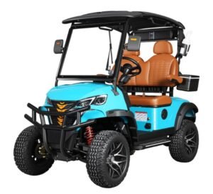 2 Seater Golf Cart With Cooler box and Sand bottle