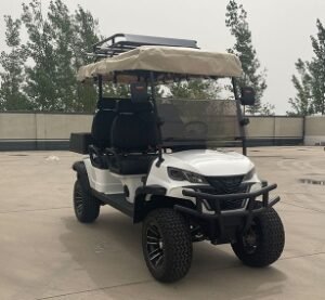 White 4 Seater Utility Golf Cart with Cargo Box and Roof Luggage Rack