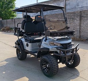 Gray 2+2 Seater Golf Cart
