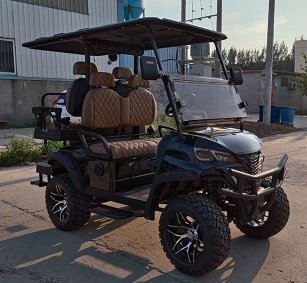 Matte Black 2+2 Seater Golf Cart with Lithium Battery